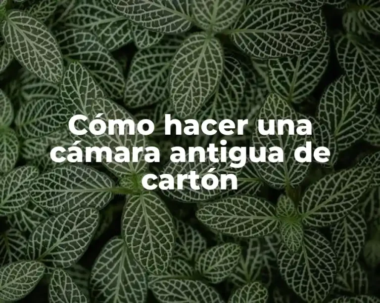 Cómo hacer una cámara antigua de cartón