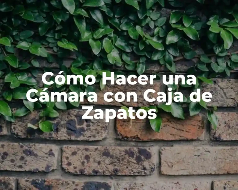 Cómo Hacer una Cámara con Caja de Zapatos