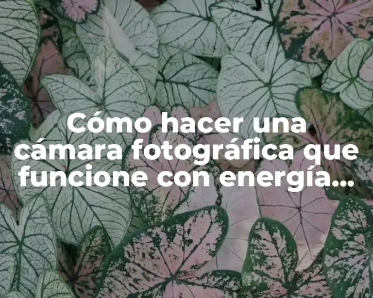 Cómo hacer una cámara fotográfica que funcione con energía solar