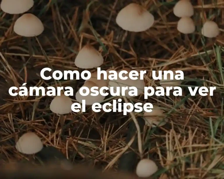 Como hacer una cámara oscura para ver el eclipse
