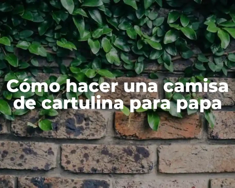 Cómo hacer una camisa de cartulina para papa