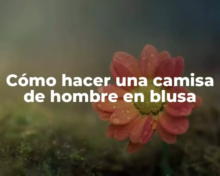 Cómo hacer una camisa de hombre en blusa