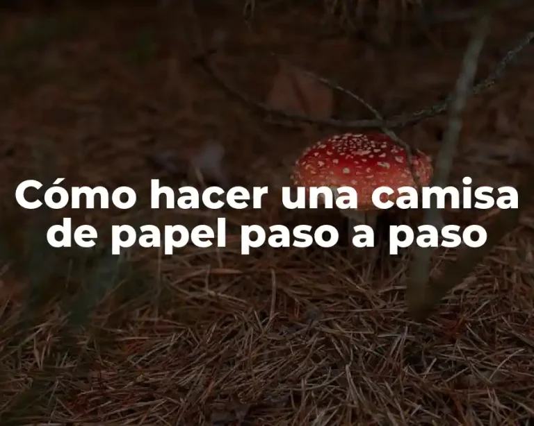 Cómo hacer una camisa de papel paso a paso