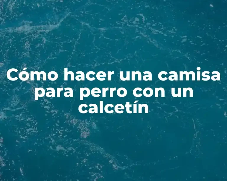 Cómo hacer una camisa para perro con un calcetín