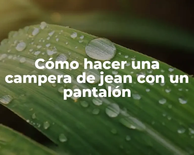 Cómo hacer una campera de jean con un pantalón