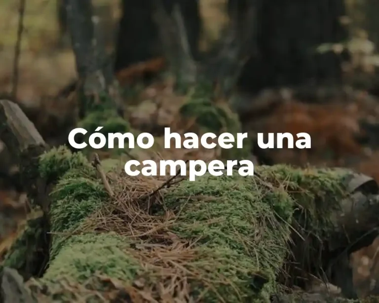 Cómo hacer una campera