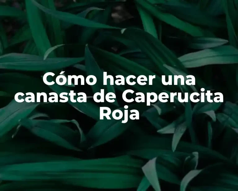 Cómo hacer una canasta de Caperucita Roja