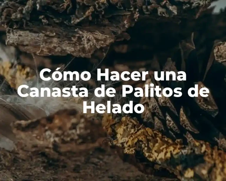 Cómo Hacer una Canasta de Palitos de Helado