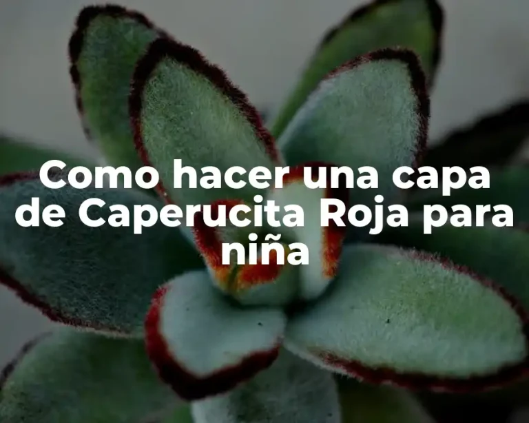 Como hacer una capa de Caperucita Roja para niña