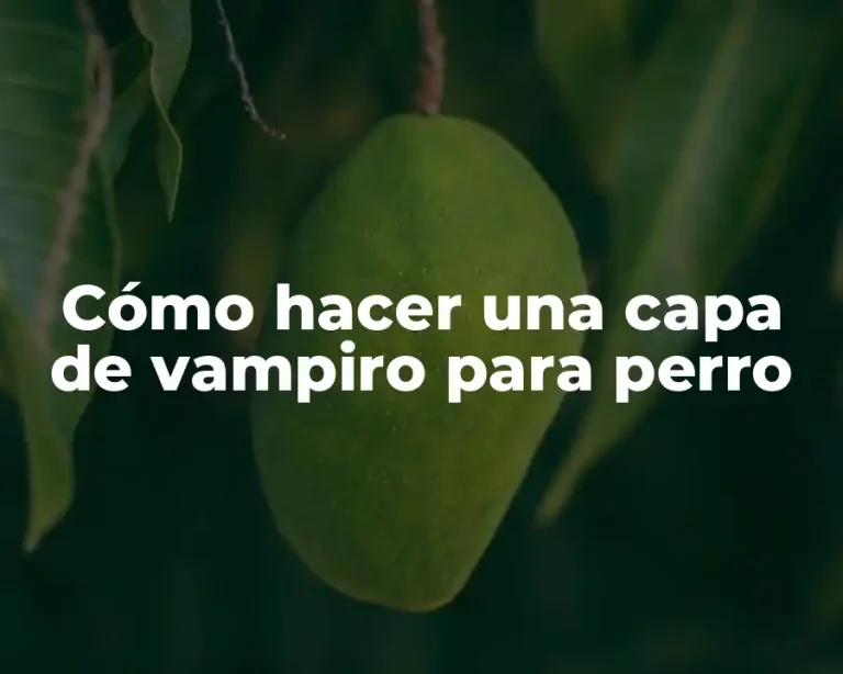 Cómo hacer una capa de vampiro para perro