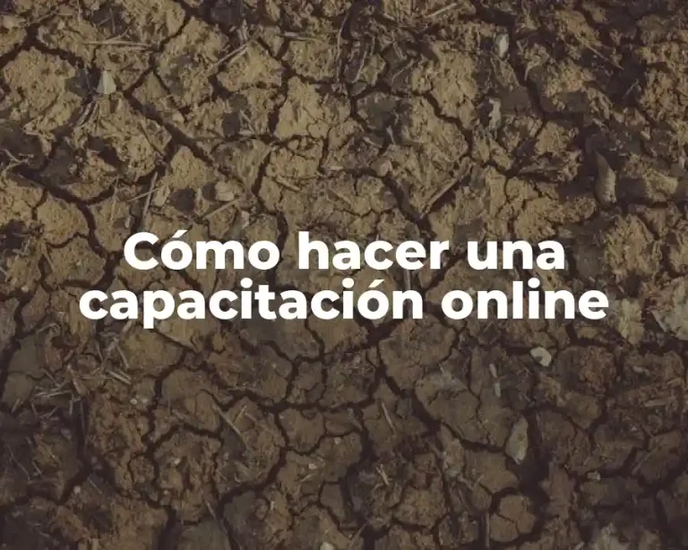 Cómo hacer una capacitación online