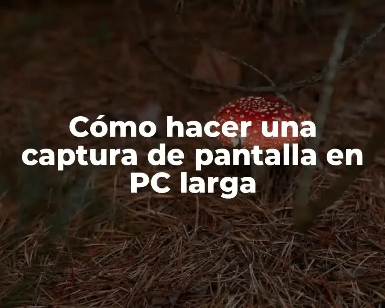 Cómo hacer una captura de pantalla en PC larga