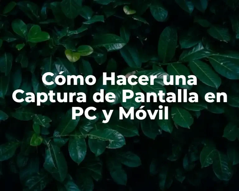 Cómo Hacer una Captura de Pantalla en PC y Móvil