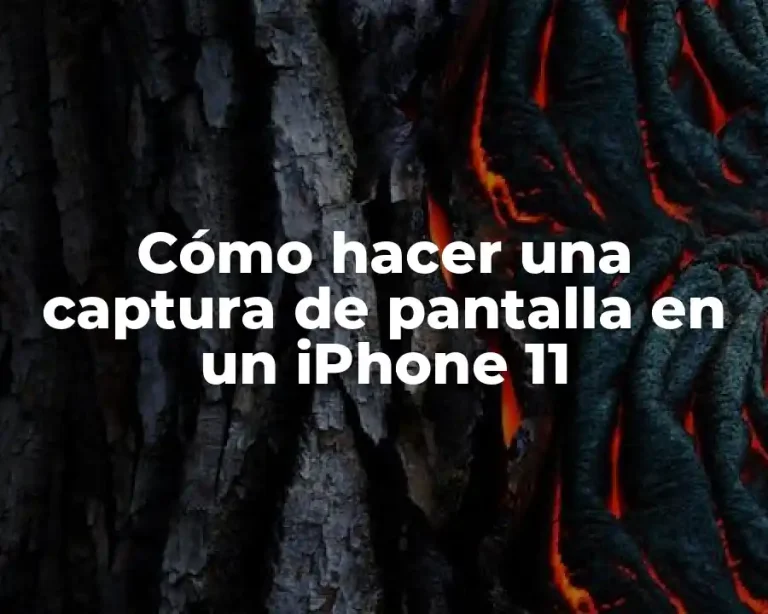 Cómo hacer una captura de pantalla en un iPhone 11