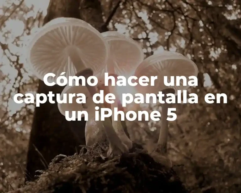 Cómo hacer una captura de pantalla en un iPhone 5