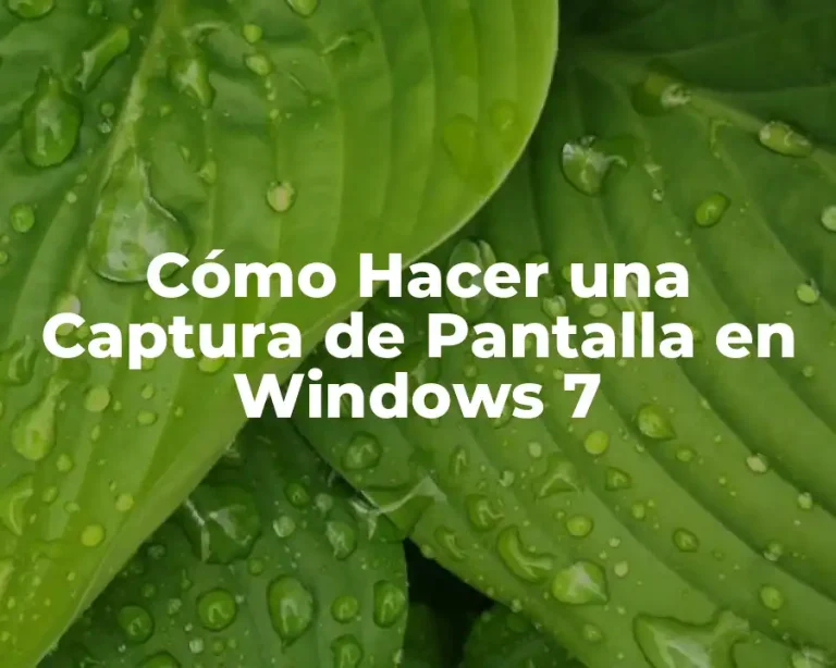 Cómo Hacer una Captura de Pantalla en Windows 7