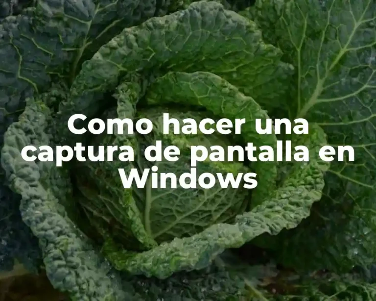 Como hacer una captura de pantalla en Windows