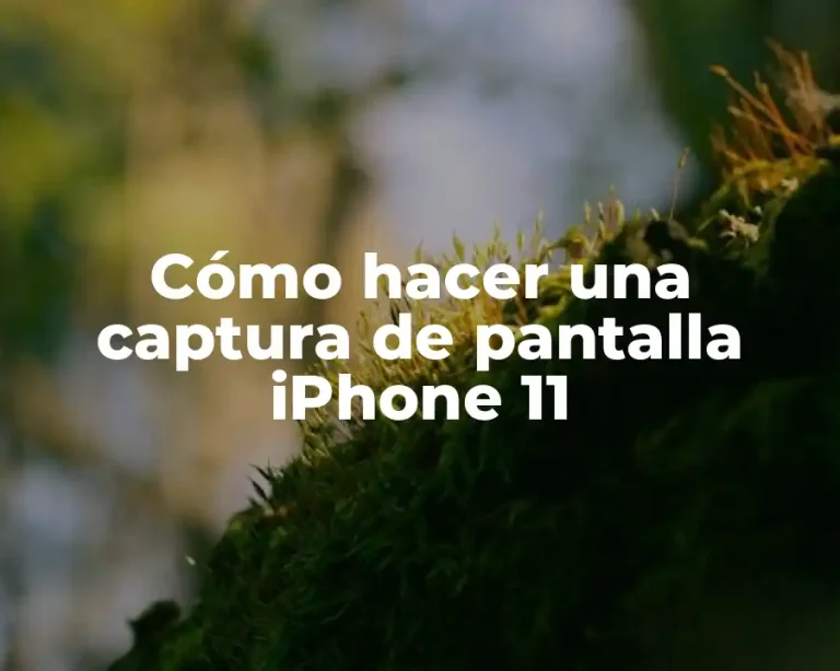 Cómo hacer una captura de pantalla iPhone 11
