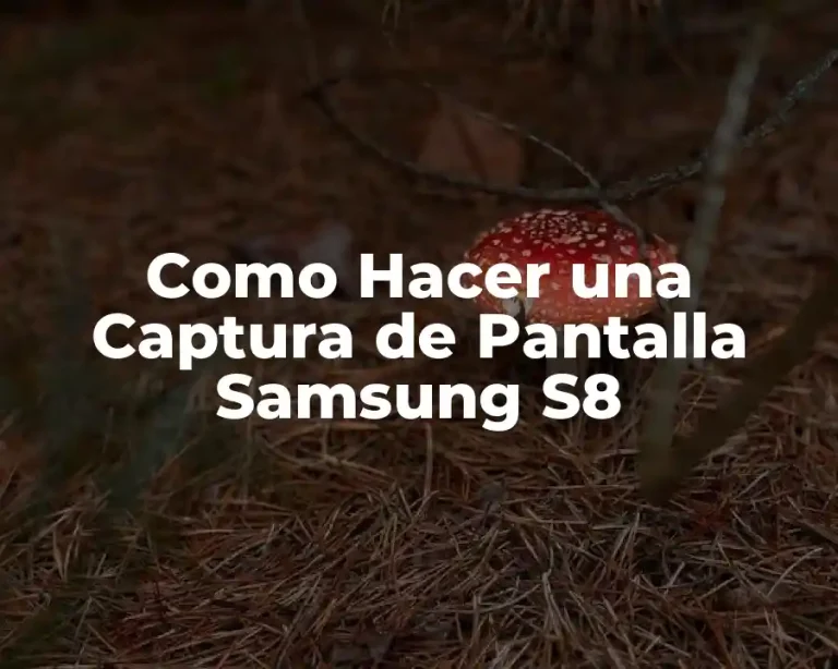 Como Hacer una Captura de Pantalla Samsung S8
