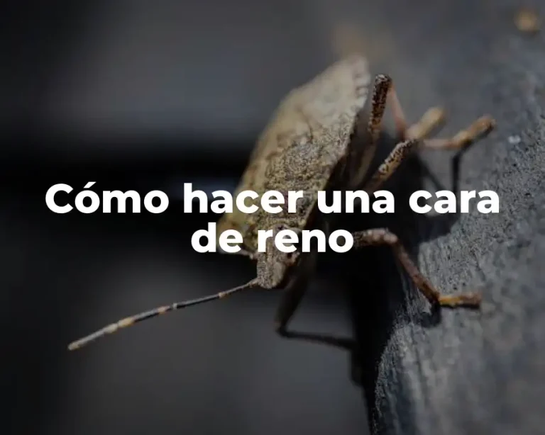 Cómo hacer una cara de reno