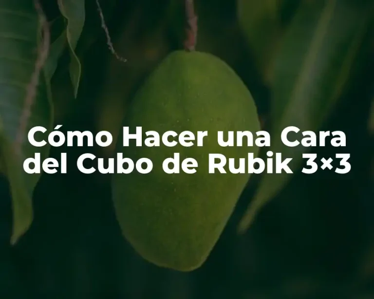 Cómo Hacer una Cara del Cubo de Rubik 3×3
