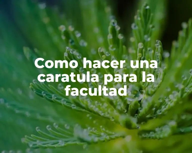 Como hacer una caratula para la facultad