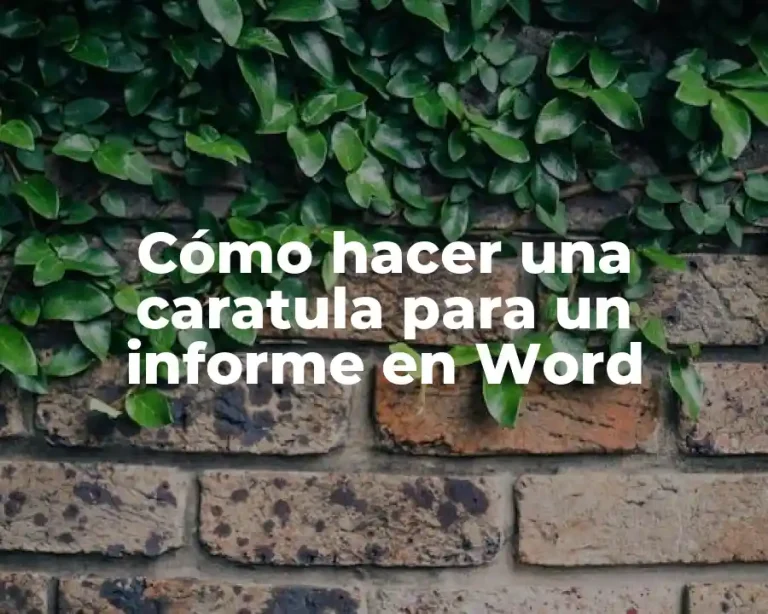 Cómo hacer una caratula para un informe en Word