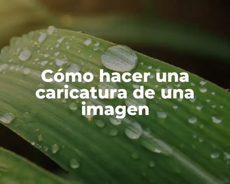 Cómo hacer una caricatura de una imagen