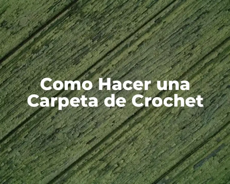 Como Hacer una Carpeta de Crochet