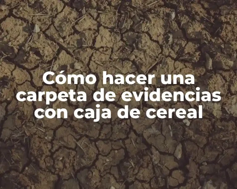 Cómo hacer una carpeta de evidencias con caja de cereal