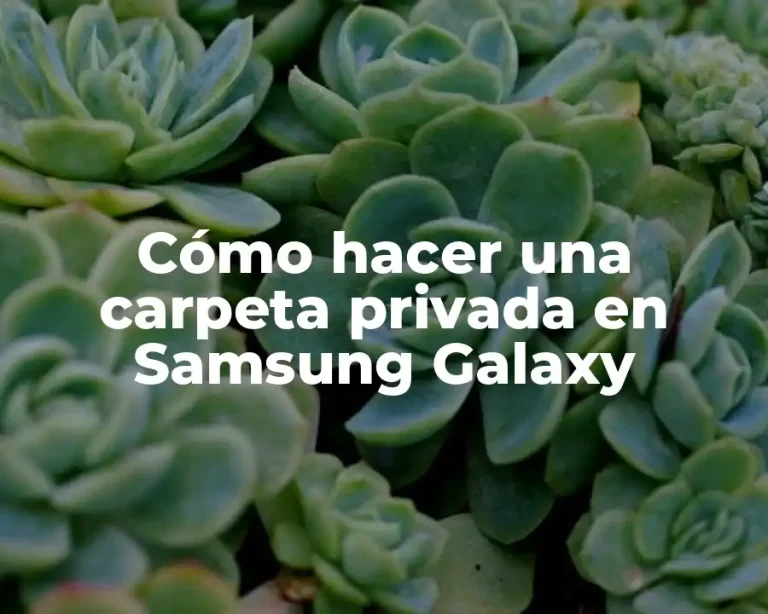 Cómo hacer una carpeta privada en Samsung Galaxy