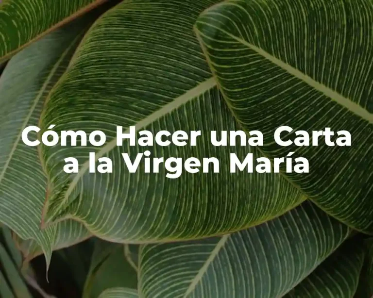 Cómo Hacer una Carta a la Virgen María