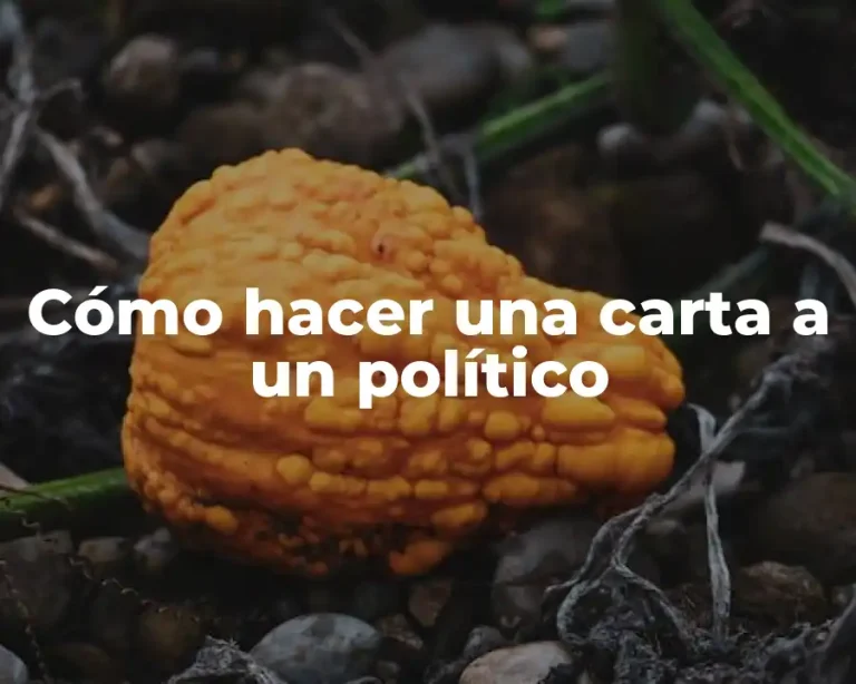 Cómo hacer una carta a un político