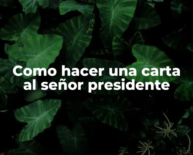 Como hacer una carta al señor presidente
