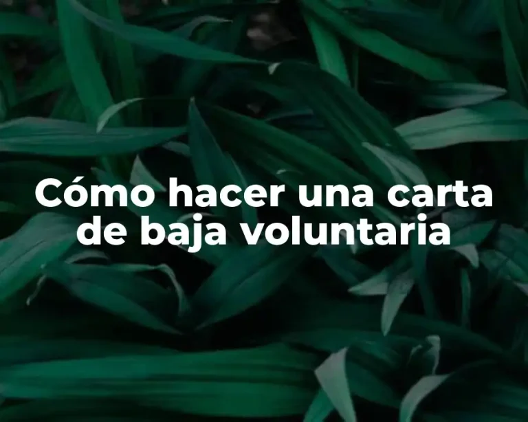 Cómo hacer una carta de baja voluntaria