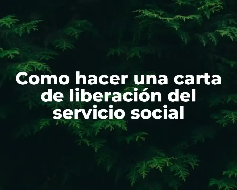 Como hacer una carta de liberación del servicio social