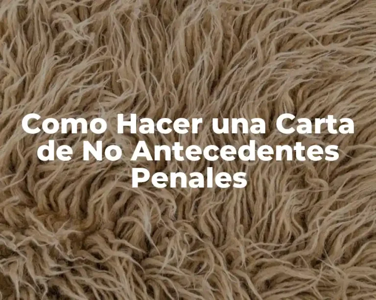 Como Hacer una Carta de No Antecedentes Penales