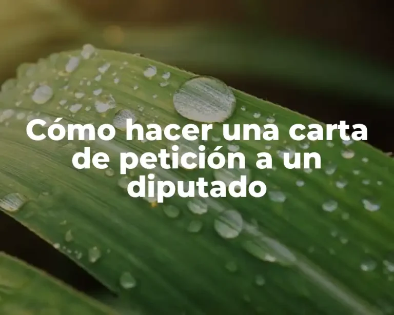 Cómo hacer una carta de petición a un diputado