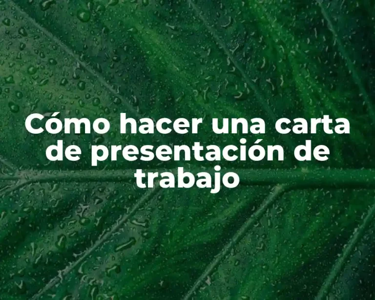Cómo hacer una carta de presentación de trabajo