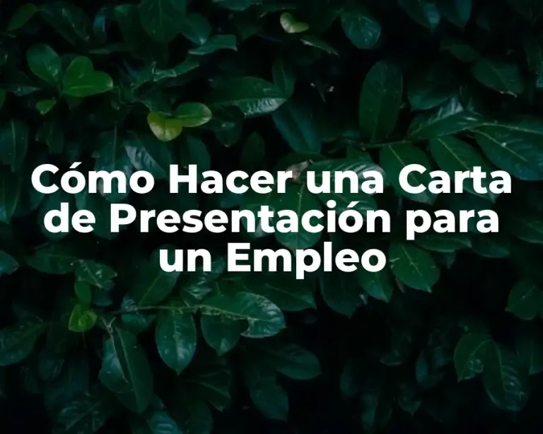 Cómo Hacer una Carta de Presentación para un Empleo
