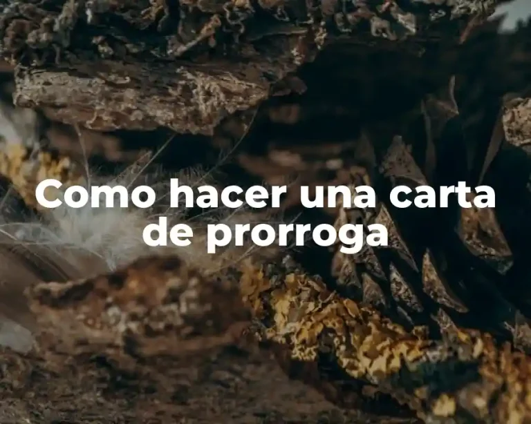 Como hacer una carta de prorroga