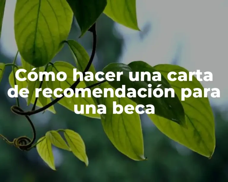 Cómo hacer una carta de recomendación para una beca
