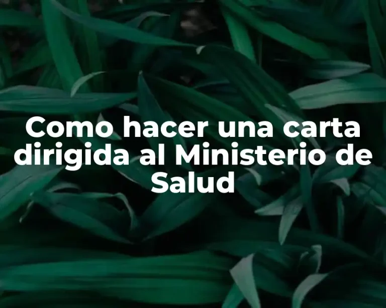 Como hacer una carta dirigida al Ministerio de Salud