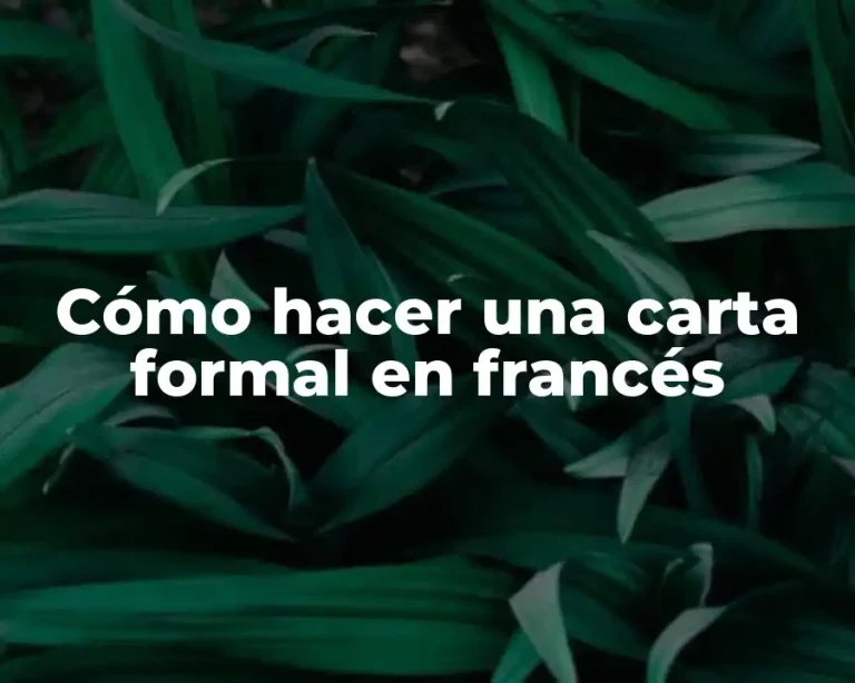 Cómo hacer una carta formal en francés