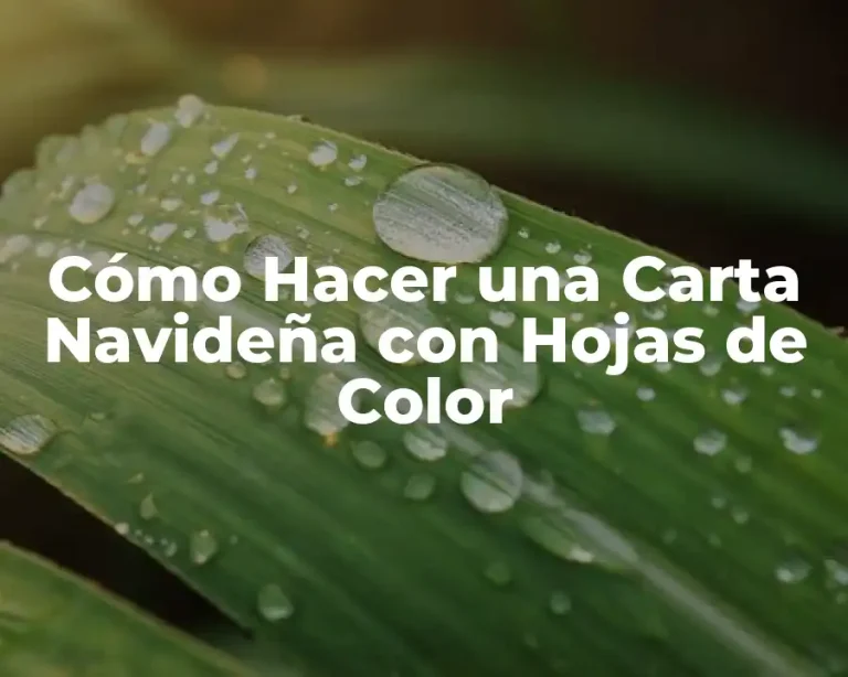 Cómo Hacer una Carta Navideña con Hojas de Color