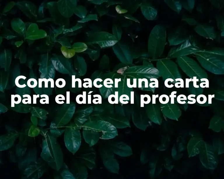 Como hacer una carta para el día del profesor