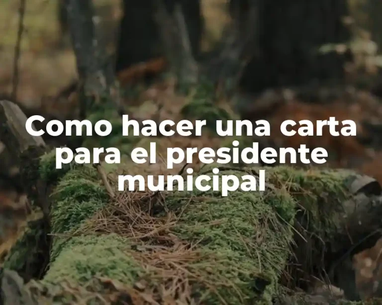 Como hacer una carta para el presidente municipal