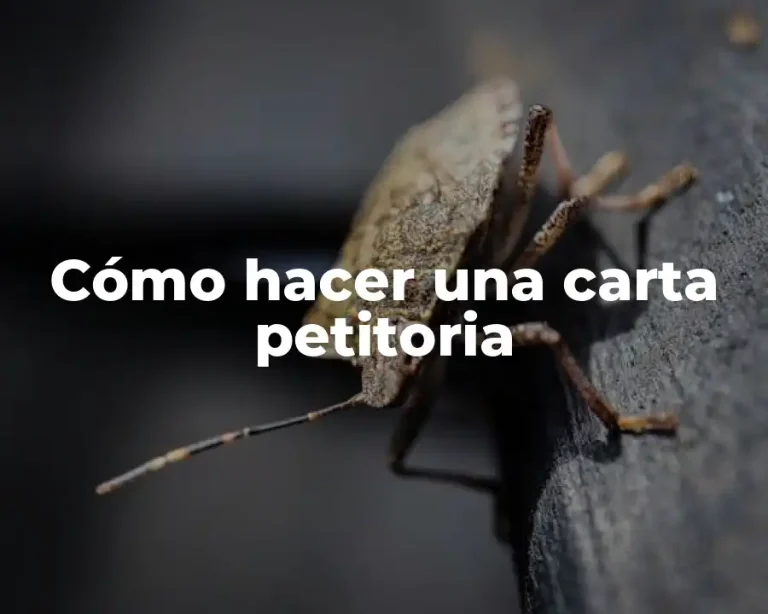 Cómo hacer una carta petitoria