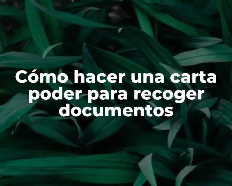 Cómo hacer una carta poder para recoger documentos