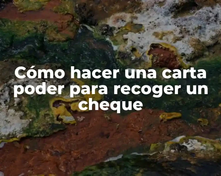 Cómo hacer una carta poder para recoger un cheque